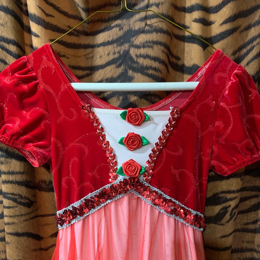 Gorgeous long holiday dress